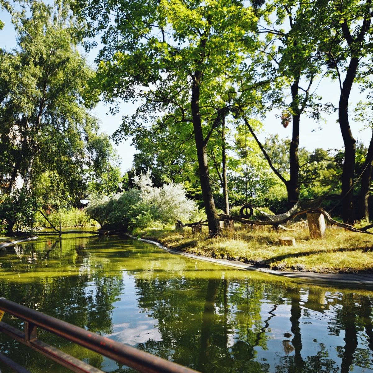 Фото околиці девелоперської інвестиції Epika Jeżyce у Познані