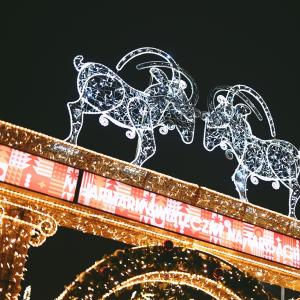 Betlejem Poznańskie | grudzień 2024 