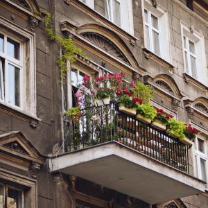 Ukwiecone balkony | październik 2024