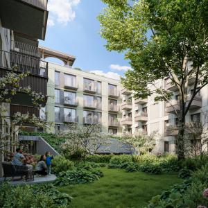 Zielony dziedziniec | październik 2024