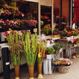 Rynek Jeżycki| październik 2024